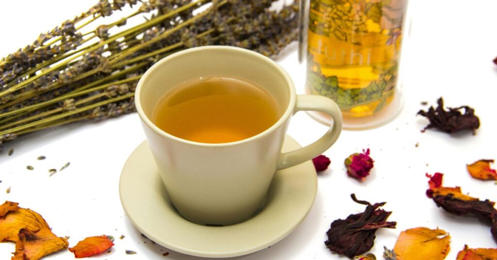 Medicinal Herbs: The importance of treatment with these plants and roots and the benefits of each one