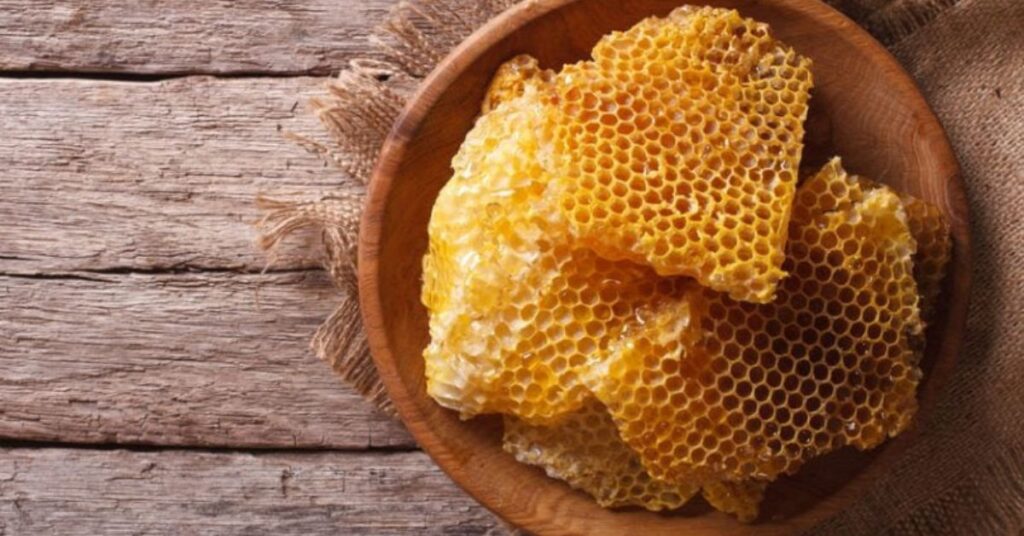 What is bee propolis: What is it for?