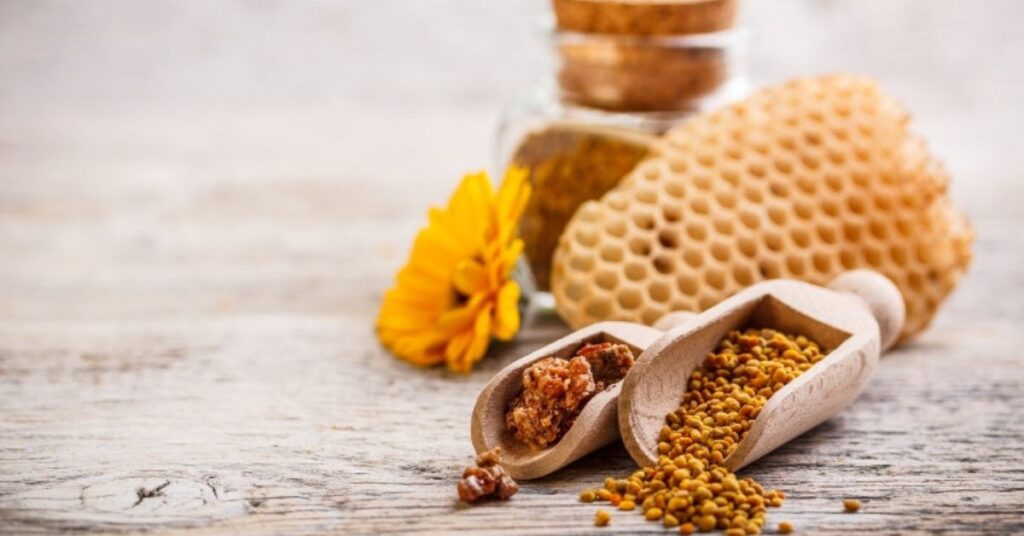 What is bee propolis: What is it for?