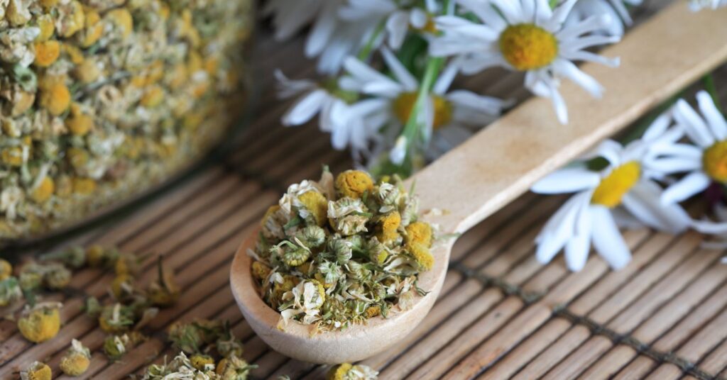 What are the benefits of chamomile tea?
