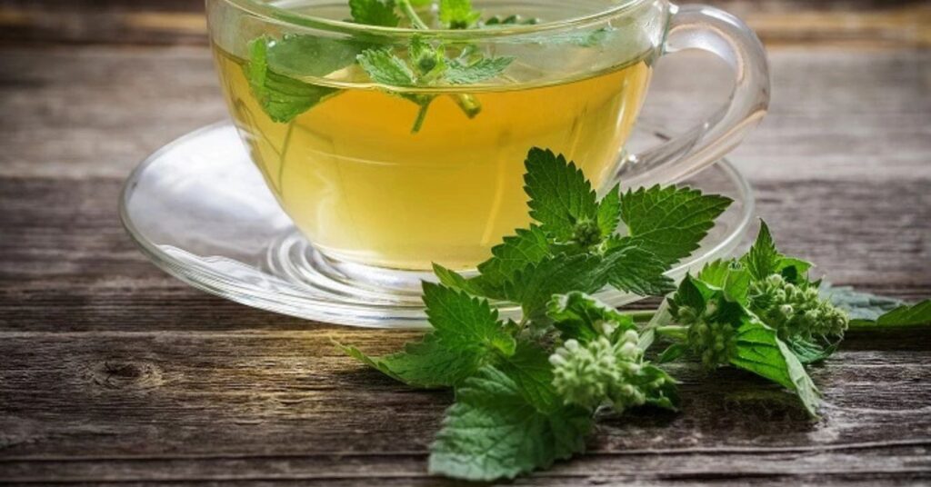 What are the benefits of lemon balm tea?