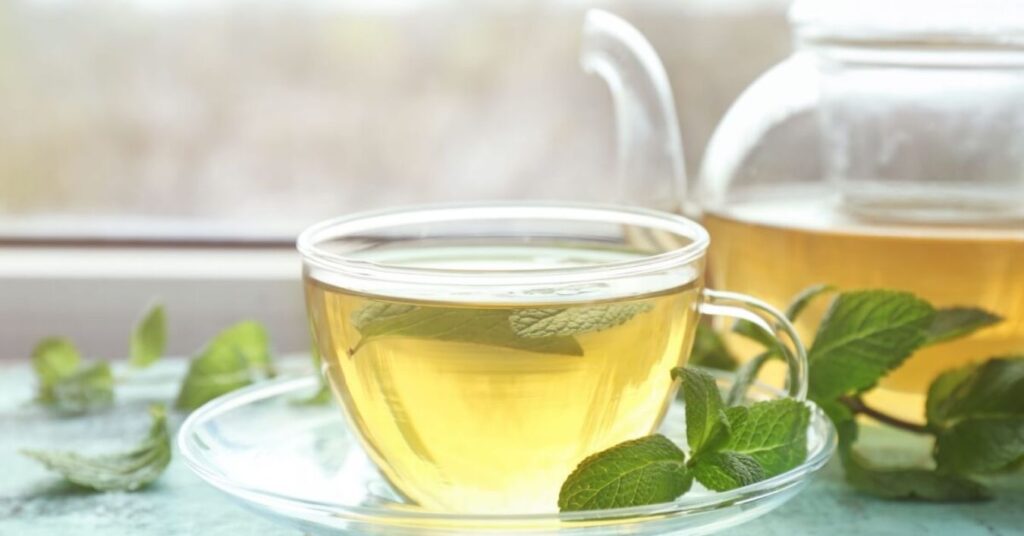 Lemon Balm: Discover the Benefits of This Medicinal Plant for Your Health