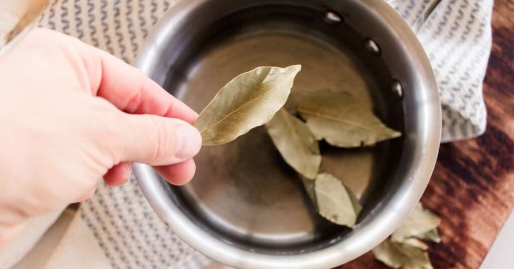 The 5 Benefits of Bay Leaf for Our Health
