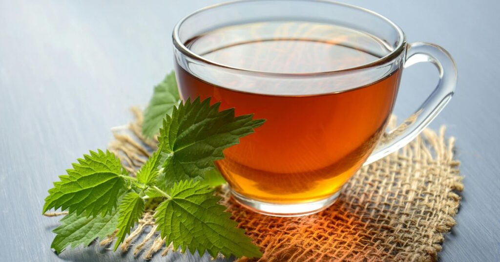 Oregano tea: what it's for and its benefits
