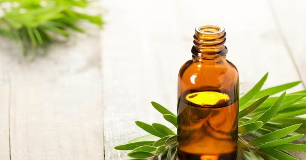 Oregano oil benefits