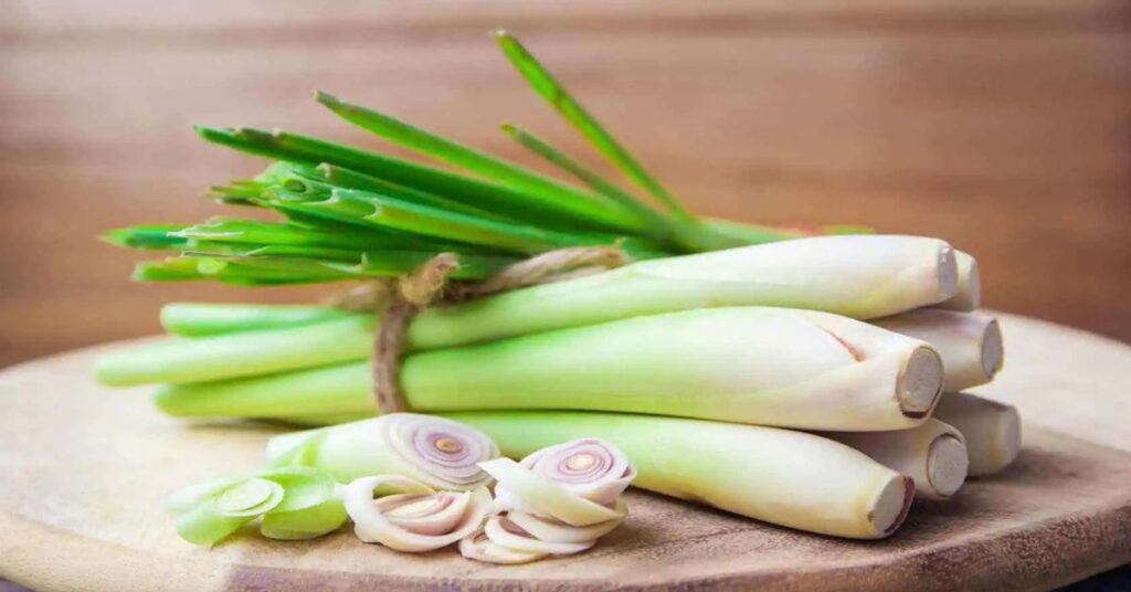 How to Use Lemongrass for Anxiety and to Improve Sleep: See My Personal Experience