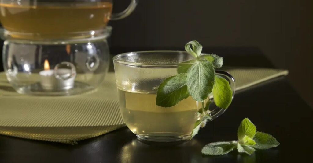 Boldo tea what is it for