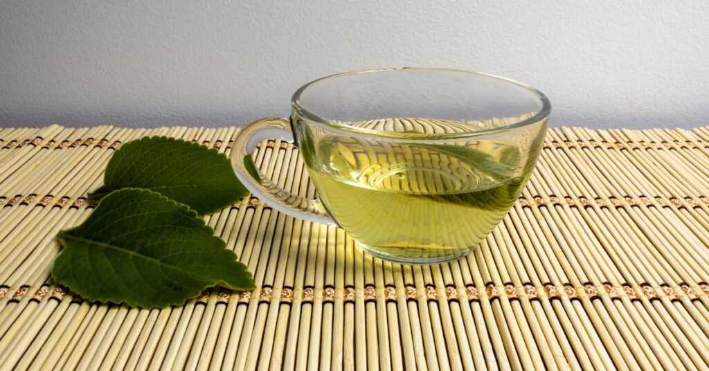 Boldo tea what is it for